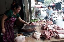 Sức tiêu thụ thịt lợn ở Hà Nội giảm do dịch tả lợn châu Phi
